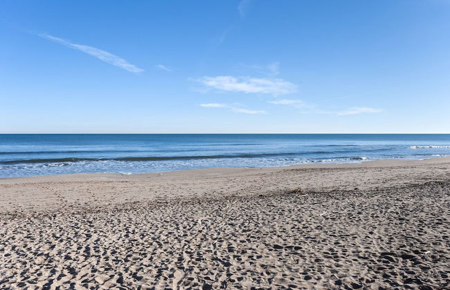 Sea Pearl in Daim s - Foto 20