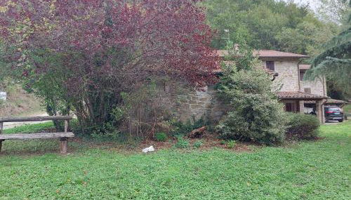 Casa Ridapio: Trail & Relax - Foto 2, Garden view