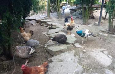 Koperkowe Rancho Beskid Wyspowy Domek Małopolskie KAMIONNA - Foto 61