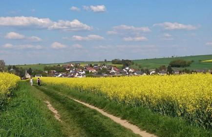 Ferienwohnung Maifeld - Foto 22