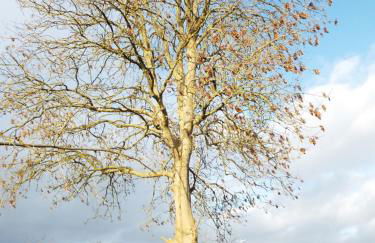 Knockalla luxury property with hot tub suitable for families - Foto 27