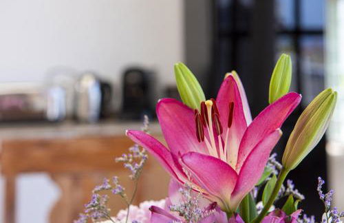 Casa Mia Monte León - Foto 57