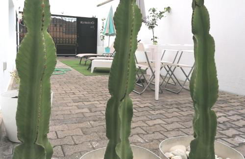 Apartamento * Estudio Orobanca - Foto 15