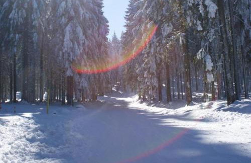 Apartment near Rennsteig - Photo 20