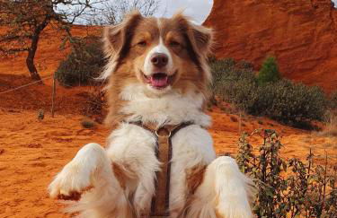 GITE AUX 4 SAISONS DU COLORADO PROVENÇAL - 3 ÉTOILES - Rustrel - Foto 51