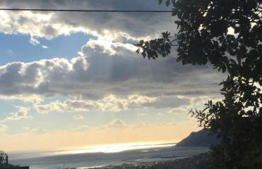 Il cipresso - Photo 17