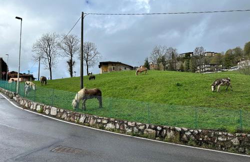 La casetta sul colle di Selvino - Foto 39