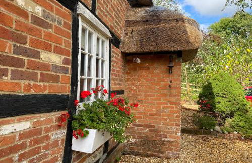 Dairy Farm - Foto 27