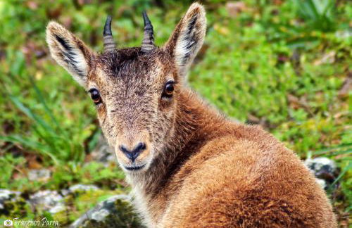 Casa Rural Los Cipreses - Photo 46