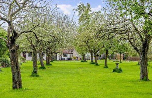 1 Bed in Wedmore oc-51340 - Foto 17