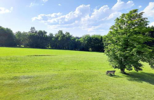 Pension Schneider - Foto 15