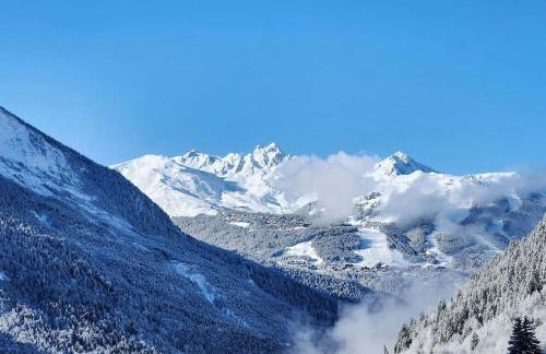200 m des télécabines, Cheminée & Cosy - Foto 11