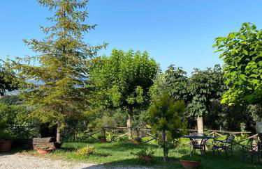 Cardinal Girolamo - Foto 21