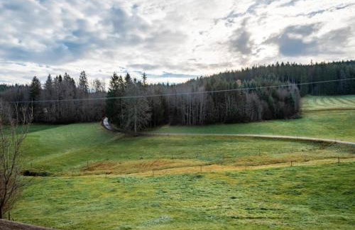 Ferienhaus, Sankt Georgen - Foto 28