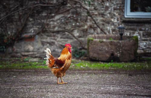 The Bothy at Oak Farm - Foto 17