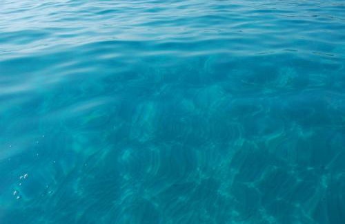 Blue Apartment IUN S0079 - Foto 31