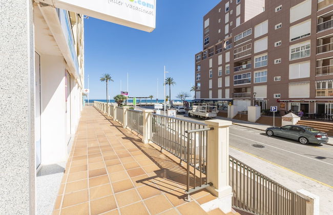 Oratge in Grau i Platja - Foto 24