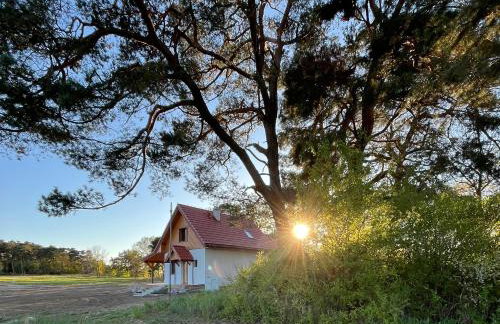 Domki na Skarpie - Wypoczynek z widokiem na Zalew - Frombork - Foto 18