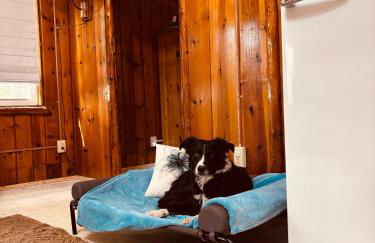 Lake Huron Lady of the Lake Cabin w HotTub, Sauna - Foto 44