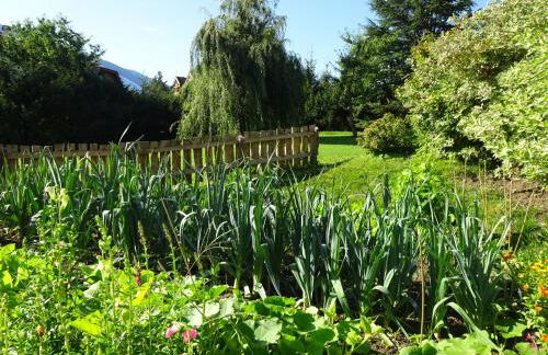 Baumgartnerhof - Foto 16