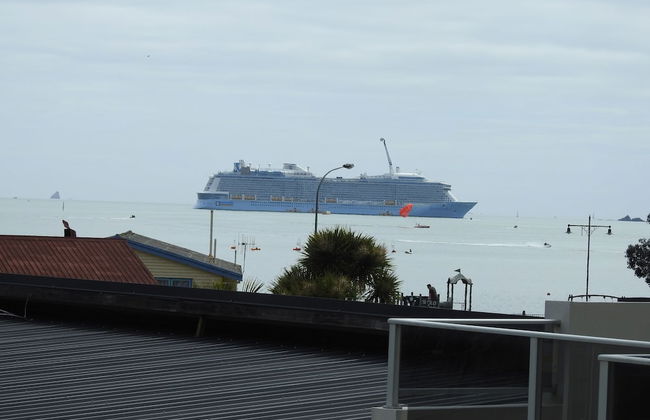 Paihia Apartments - Foto 23