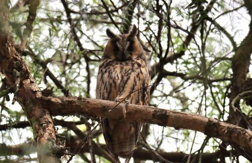 Casa Vó Briata - Foto 75