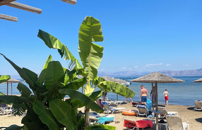 Erosea Beach Resort - Photo 18