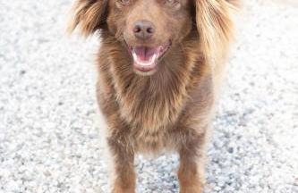 Agriturismo da Natalino - Foto 73