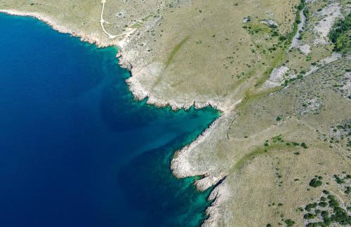 Pecora Nera - Photo 54