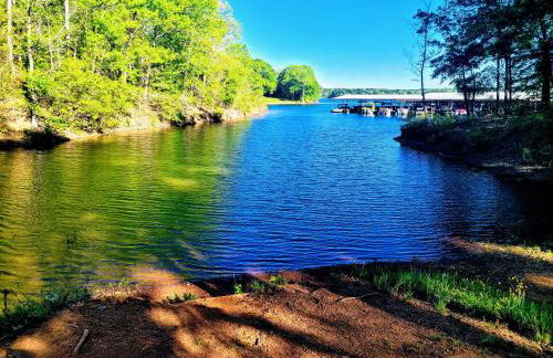 ClemsonILakesideIParkPassIPizzaOvenlYouTubeTVlFirePit - Foto 24