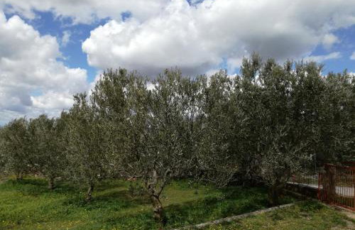 Kuća za odmor Mile - Foto 23