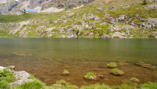 Le Perce Neige - Foto 2