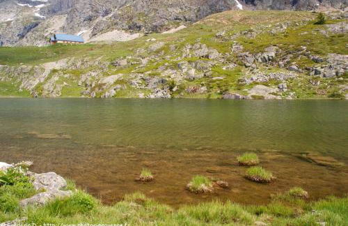 Le Perce Neige - Foto 2