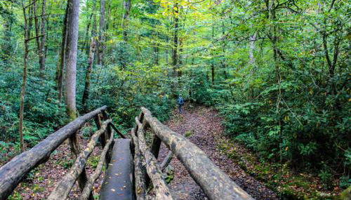 BEST VIEWS LAKE FRONT Waters Edge - Foto 3