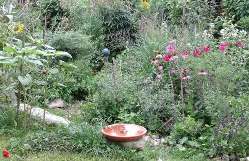 Ferienwohnung Bei der Töpferei - Photo 20