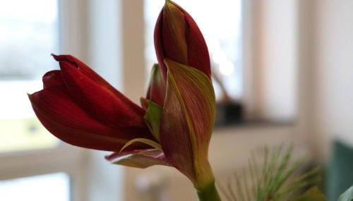 Wunderschöne große Ferienwohnung in Aue - Foto 4