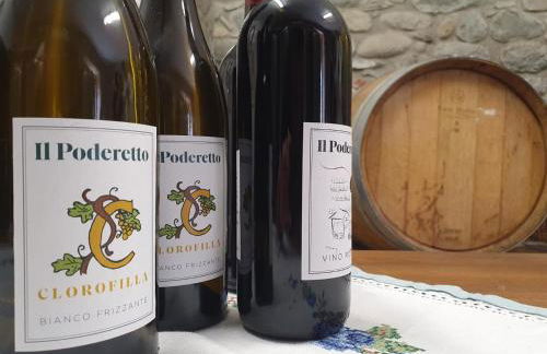 agriturismo il poderetto - Foto 62