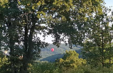 Salamandre 2 proche de Sarlat de 1 à 5 personnes - Foto 35