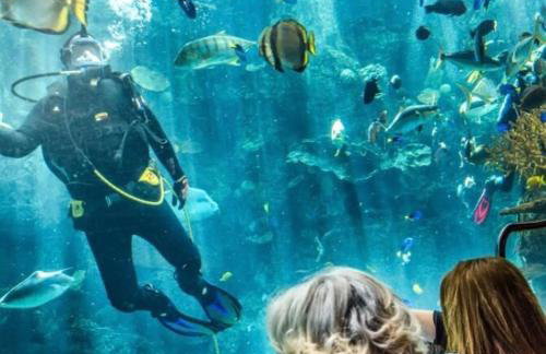 5 STAR BEAUTIFUL LONG BEACH HOuSE - Foto 33