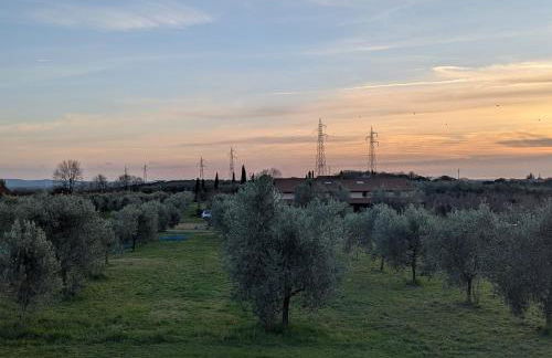 Namaste - Mare, Lago di Bolsena e Terme di Vulci - Foto 33