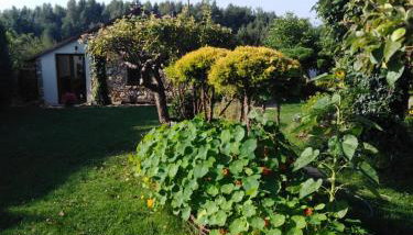 Czytelnia w Sadzie - Foto 2