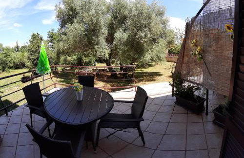 Apartments Juretic - Photo 15