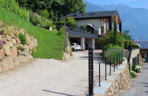 Hillepranter - Foto 4