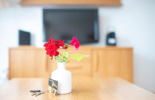 Fewo Schneckenhalde App 12 - Photo 20