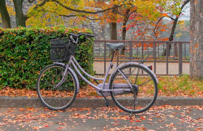 Tour di Osaka in bici - Foto 1