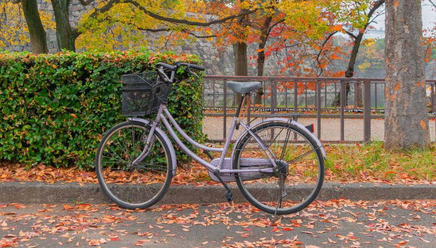 Osaka Bike Tour - Foto 1