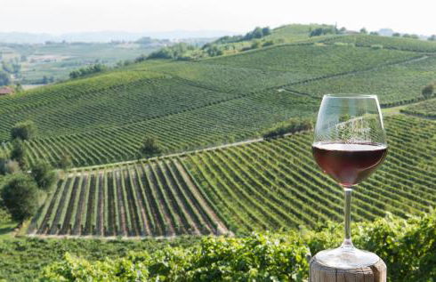 Agriturismo Albarossa - Foto 3