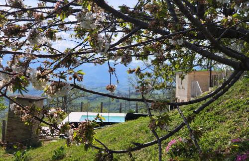 GrazieSole Agriturismo mattone - Foto 51