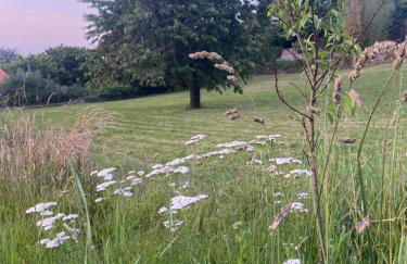 chambre privée avec SDB - Foto 7