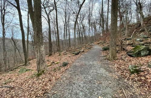 Entire Mountain Cottage Near Scenic Hiking Trails - Photo 72